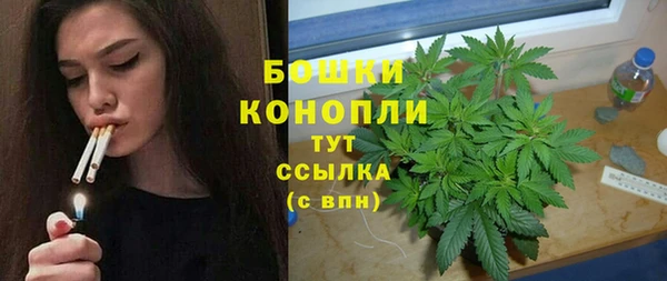 амф Майский