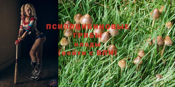 МДПВ Магас